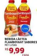 Assaí Atacadista Flamboyant - bebida láctea sabores oferta