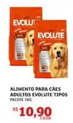 Assaí Atacadista Evoluto - alimento para cães adultos oferta