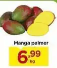 Carrefour Manga palmer oferta