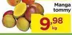 Carrefour Tommy - manga oferta