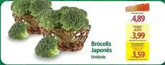 Japonês - brócolis japonés
