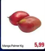 Spani Atacadista Manga palmer oferta