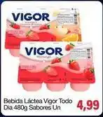 Spani Atacadista Dia - bebida láctea vigor todo oferta