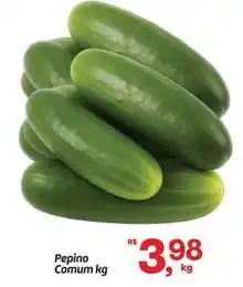 Fort Atacadista Pepino comum oferta