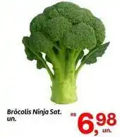 Fort Atacadista Ninja - brócolis ninja sat. un oferta