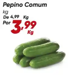 Dia De - pepino comum oferta