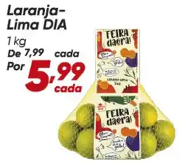 Dia Dia - laranja- lima oferta