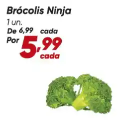 Dia Ninja - brócolis ninja oferta