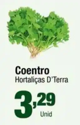 Santo Supermercados Coentro Hortalizas D'Terra oferta