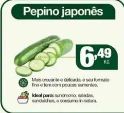 Santo Supermercados Pepino japonês oferta