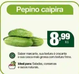Santo Supermercados Pepino caipira oferta