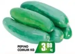Higa's Supermercado Pepino comum oferta
