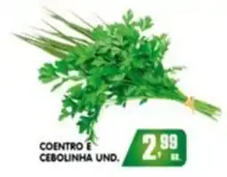 Higa's Supermercado Coentro e cebolinha und. oferta
