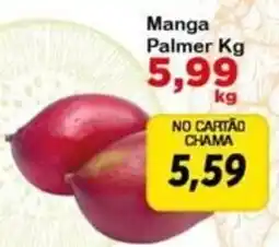 Chama Supermercados Manga palmer oferta