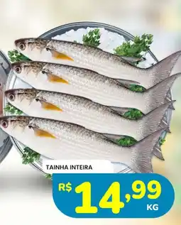 Supermercado Bergamini tainha inteira oferta