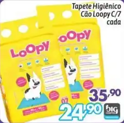 Supermercados Big Compra Tapete Higiênico Cão Loopy oferta