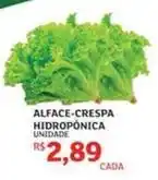 Assaí Atacadista Alface-crespa hidroponica oferta