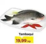 Carrefour Tambaqui oferta