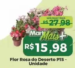 Mart Minas Flor Rosa do Deserto P15 oferta