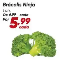 Dia Ninja - brócolis ninja oferta
