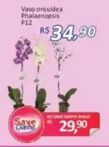 Supermercados Savegnago Vaso orquidea phalaenopsis oferta