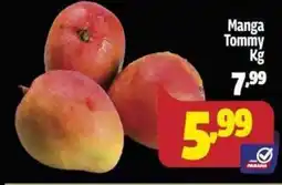 Supermercado Paraná Manga Tommy Kg oferta