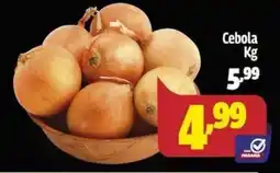 Supermercado Paraná Cebola oferta