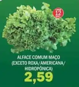 Supermercados Mendonça Alface comum maço oferta