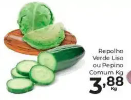 Comercial Esperança Repolho Verde Liso ou Pepino Comum oferta