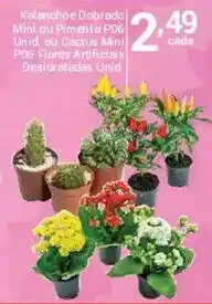 X Supermercados Kalanche Dobrado Mini ou Pimenta P06 Unid. ou Cactus Mini P06 Flores Artificiais Desidratadas Unid. oferta