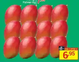 X Supermercados Manga palmer kg oferta