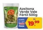 Tonin Superatacado Vale fértil - azeitona verde oferta
