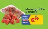 Tonin Superatacado Bandeira - moranguinho oferta