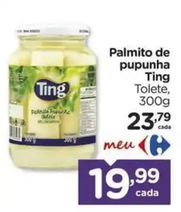 Carrefour Bairro Palmito de pupunha ting tolete oferta