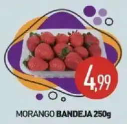 Calvo Atacadista Morango bandeja oferta