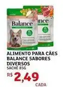 Assaí Atacadista Balance - alimento para cães sabores diversos oferta