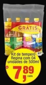 Frangolândia Kit de tempero Regina oferta