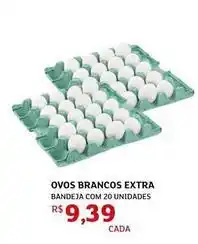 Extra - ovos brancos extra