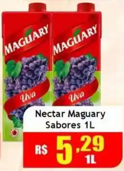 Supermercado Kibe Nectar maguary sabores oferta