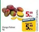 Tenda Atacado Manga palmer oferta