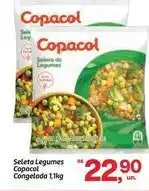 Fort Atacadista Copacol - seleta legumes congelada oferta
