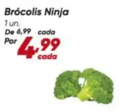 Dia Ninja - brócolis ninja oferta
