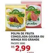 Assaí Atacadista Rio - polpa de fruta congelada goiaba ou manga rio grande oferta