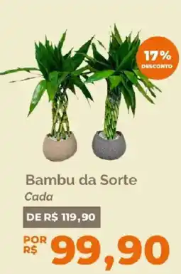 Oba Hortifruti Bambu da Sorte Cada oferta