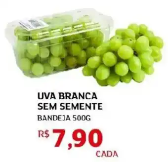 Uva branca sem semente