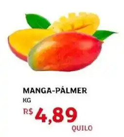 Assaí Atacadista manga-pálmer oferta