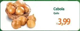 Cebola