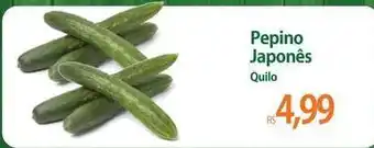 Japonês - pepino japonês