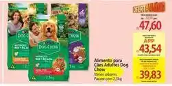 Atacadão Dog chow - alimento para cas adulto oferta