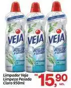 Fort Atacadista Veja - limpador limpeza pesada oferta